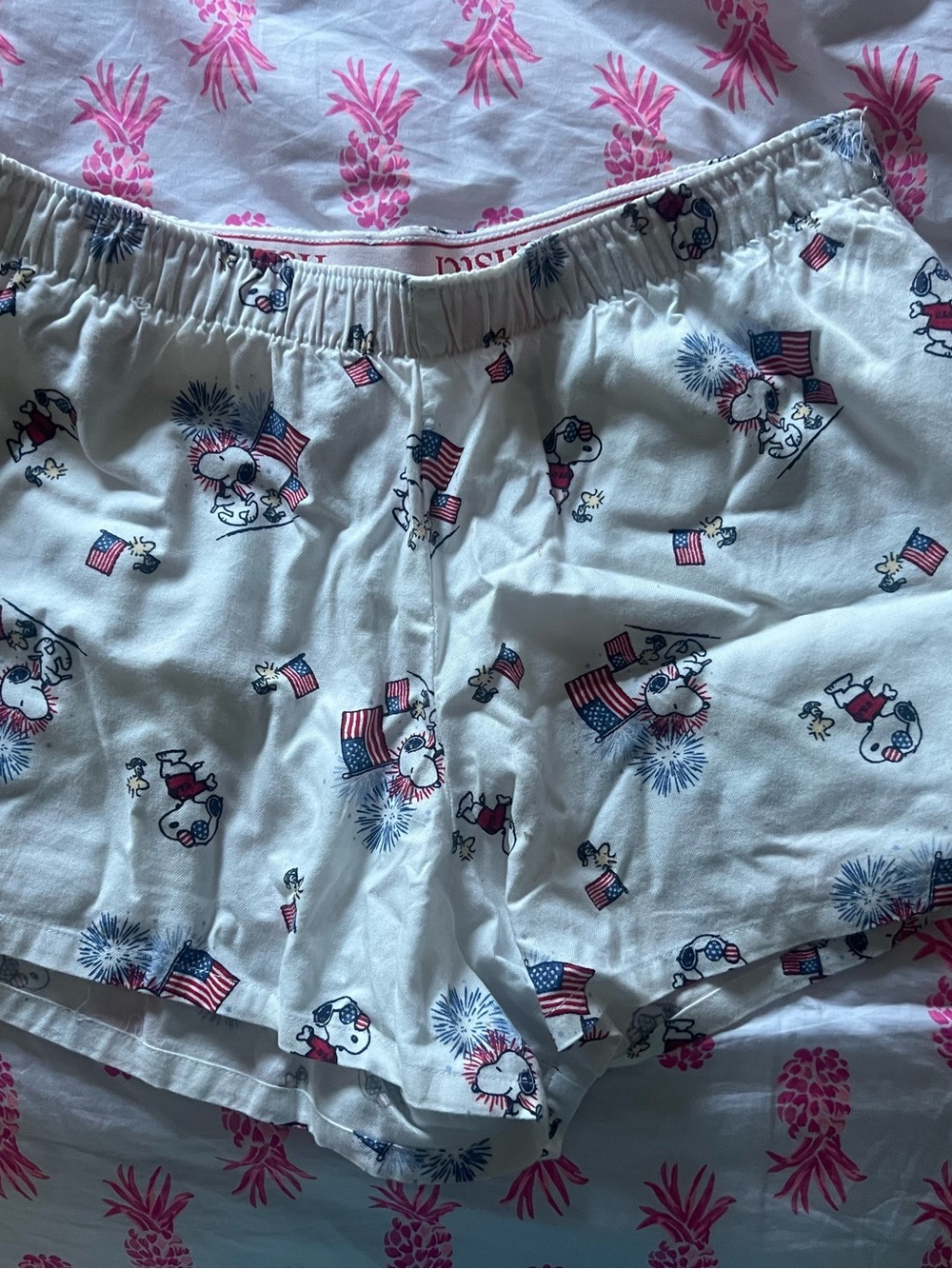 NWOT women’s medium Hollister Peanuts Snoopy boxer shorts